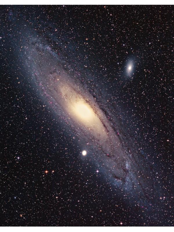 M31
